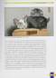 Preview: Leben mit Chinchillas